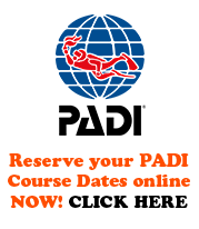 PADI instructor dive resort